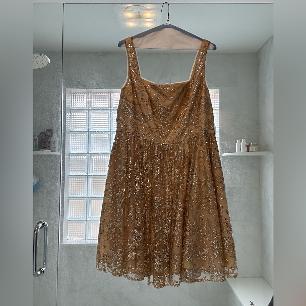 Fifteen Roses Dance Dress size 18.